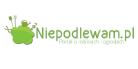 Niepodlewam