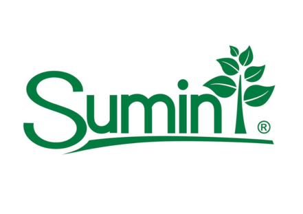Sumin Sumin