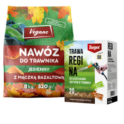 Domyślna nazwa