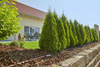 Linia kroplująca do rzędów roślin – zestaw L – 50 m Gardena