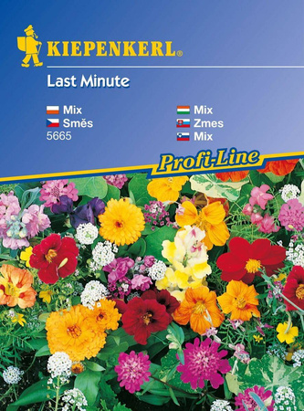 Mieszanka kwiatów Last Minute - Kiepenkerl
