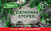 Domyślna nazwa