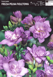 Domyślna nazwa
