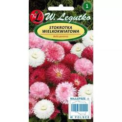 Domyślna nazwa