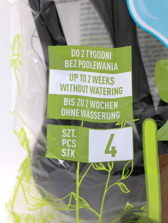 Domyślna nazwa
