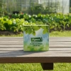 Dobroczynek Swirski 10 szt - Vegano