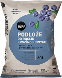 Domyślna nazwa
