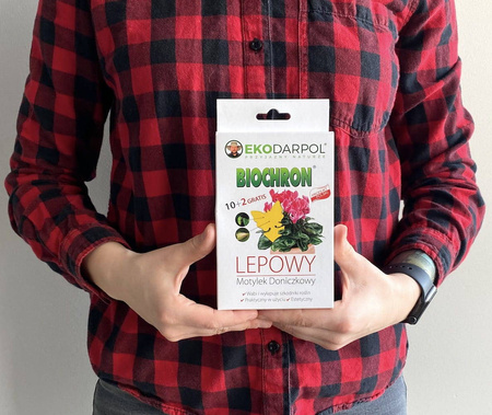 Biochron -  Doniczkowy Motylek Lepowy 10 szt. + 2 szt. Gratis