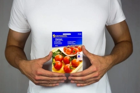 Pomidor Koktajlowy Charmant – Kiepenkerl