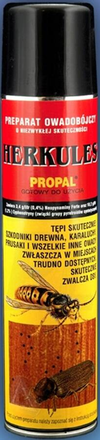 Domyślna nazwa