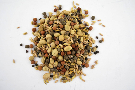 Mieszanka strączkowo-zbożowa POPLON 1 kg Agro-Nas