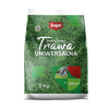 Trawa popularna nasiona 5 kg