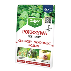 Domyślna nazwa