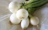 Cebula dymka biała Snowball 250 g