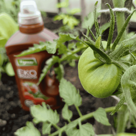  Zestaw Ekopomidor Vegano – 5x1 l Naturalny Nawóz Ekologiczny (50 % taniej )