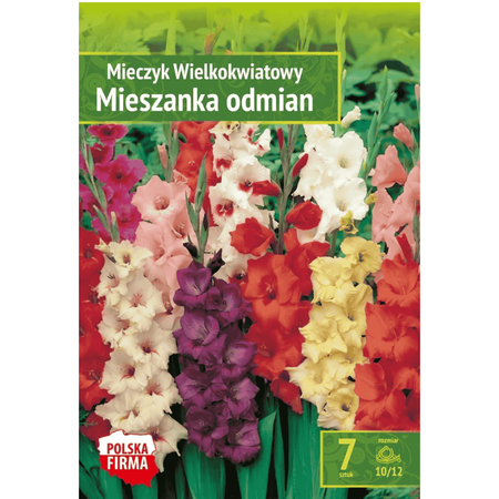 Mieczyk mix 5 szt.