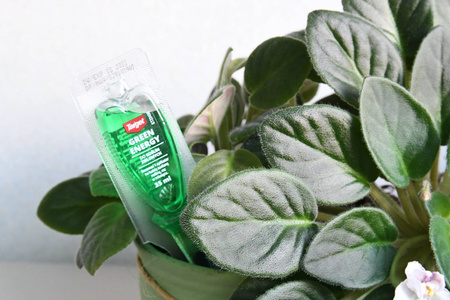 Odżywka do roślin zielonych Green Energy 35 ml Target