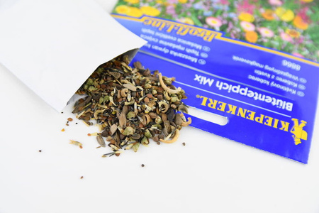 Mieszanka dywan kwiatowy Blütenteppich Mix