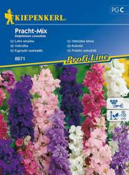 Ostróżka letnia Pracht - Mix Delphinium consolida