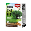 Shania 1 kg nasiona trawy do trawników zacienionych