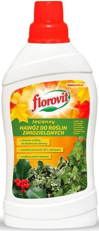 Domyślna nazwa