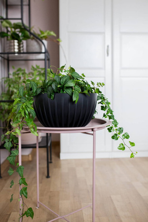Misa Mira Eco Recycled 240 Czarna