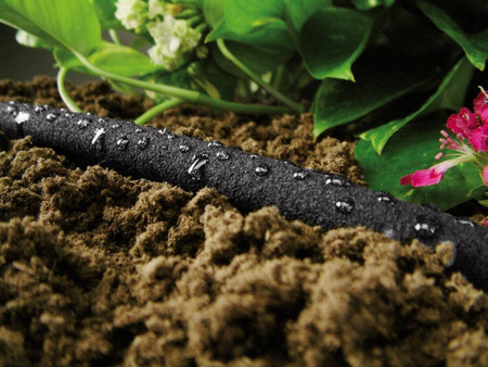 Wąż nawadniający Drip 1/2" 30 m – Cellfast