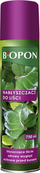 Domyślna nazwa