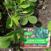 Larva Stoper 50 MLN – nicienie na opuchlaki i pędraki – Target