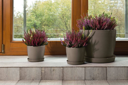 Osłonka-Doniczka Magnolia fi 180 Taupe