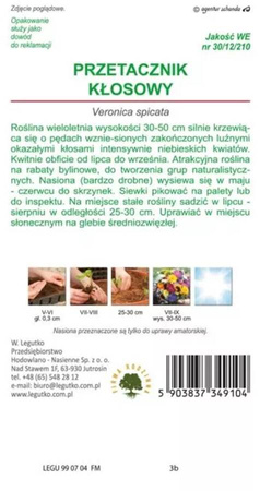 Domyślna nazwa