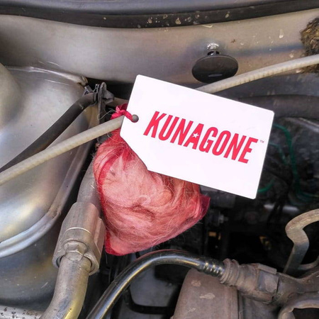 KUNAGONE - CHRONI PRZED KUNAMI