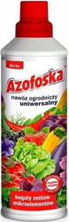 Domyślna nazwa