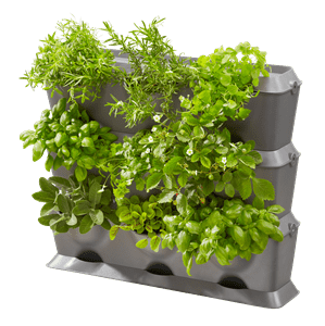 Ogród wertykalny NatureUp! – zestaw podstawowy – Gardena