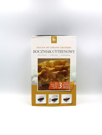 Zestaw do uprawy grzybów – Boczniak cytrynowy – 3 l Exotic Grow
