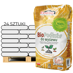 Domyślna nazwa