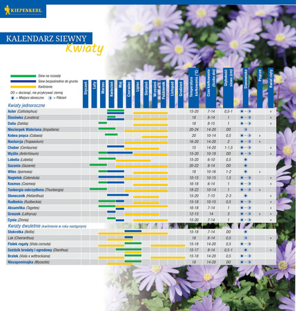 Wilec Picotee Mix Ipomoea purpurea