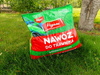 Domyślna nazwa