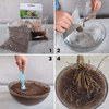 Mikoryza ECTOVIT 100 g