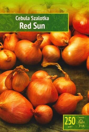 Cebula szalotka czerwona Red Sun 250 g