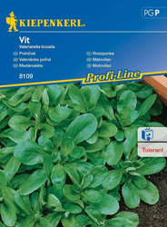Roszponka Vit Valerianella locusta