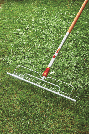Grabie do Trawnika