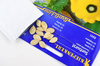 Cukinia Sunburst Cucurbita pepo
