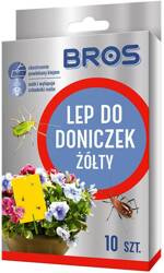 Domyślna nazwa