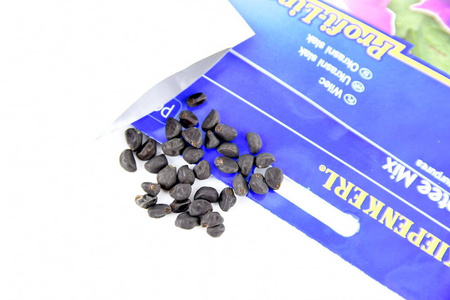 Wilec Picotee Mix Ipomoea purpurea