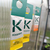 Zestaw Dobroczynek Kalifornisjki 5 szt + Dobroczynek Swirski 5 szt - Vegano