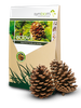 Mikoryza ECTOVIT 100 g