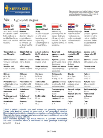 Gipsówka - Mix  Nasiona - Kiepenkerl