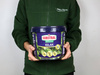 Nawóz Osmocote 2w1 do iglaków – 4,5 kg Substral
