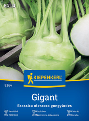 Kalarepa Gigant Brassica oleracea var. gongylodes